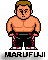MARUFUJI.gif