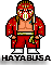 hayabusa3.gif